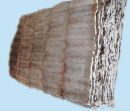 мех белки - пластины сшитые из хребта шкур