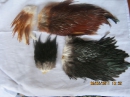 фрагменты птичьего меха, разноцветные куски выделанных шкур птиц