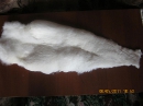 птичий мех белого цвета, выделанная шкура птицы чулком